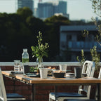 ALFRESCO Mug